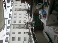 /album/hochzeit-in-england/mein-vogerl-am-balkon-jpg/